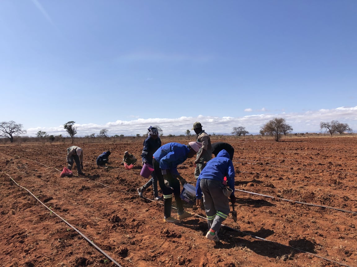 Mobirise Website Builder